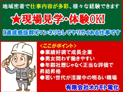 有限会社オカモト電化